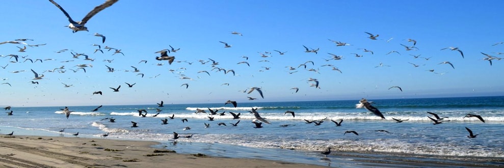 bahia-de-san-quintin